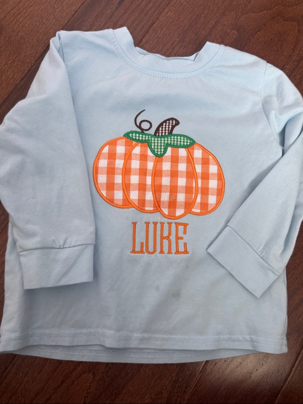 Light Blue Long-Sleeve Kids Shirt with Orange Pumpkin Appliqué - Personalized
